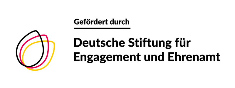 Deutsche Stiftung für Engagement und Ehrenamt (DSEE)